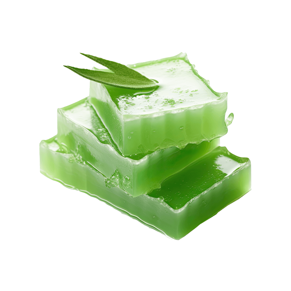 Shop Primary Image